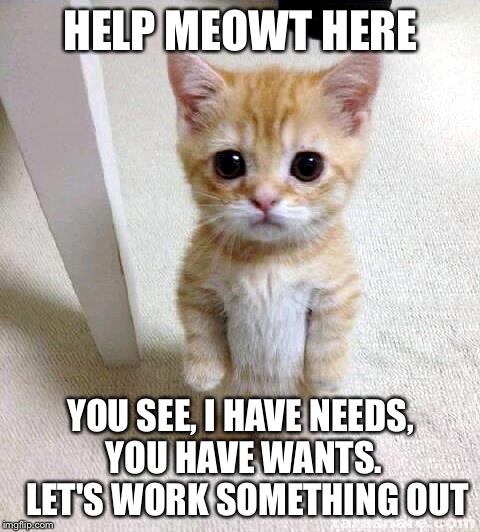 Cute Cat Meme | HELP MEOWT HERE; YOU SEE, I HAVE NEEDS, YOU HAVE WANTS.  LET'S WORK SOMETHING OUT | image tagged in memes,cute cat | made w/ Imgflip meme maker
