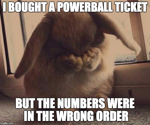 BUT THERE IS NO WRONG ORDER | I BOUGHT A POWERBALL TICKET; BUT THE NUMBERS WERE IN THE WRONG ORDER | image tagged in sad bunny,powerball,funny memes | made w/ Imgflip meme maker