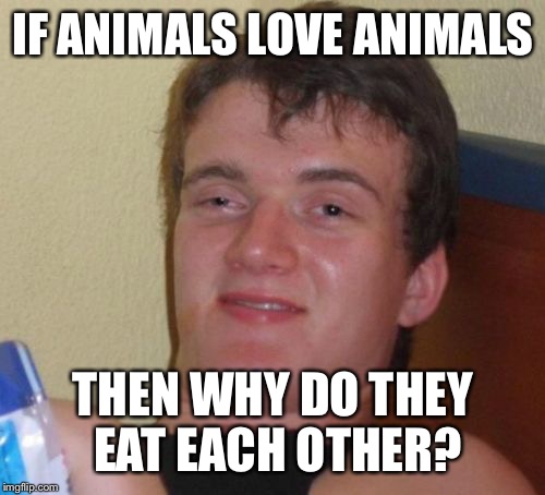 10 Guy Meme | IF ANIMALS LOVE ANIMALS THEN WHY DO THEY EAT EACH OTHER? | image tagged in memes,10 guy | made w/ Imgflip meme maker