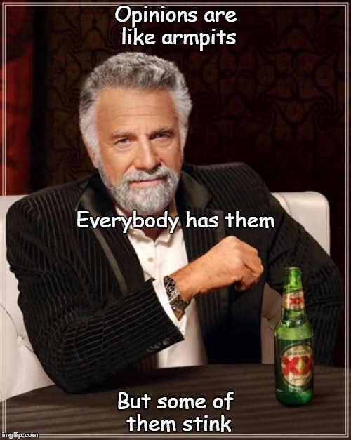 The most opinionated man in the world  | Opinions are like armpits; Everybody has them; But some of them stink | image tagged in memes,the most interesting man in the world | made w/ Imgflip meme maker