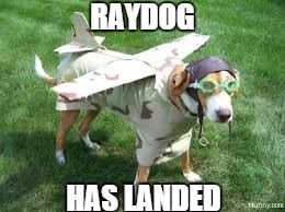RAYDOG; HAS LANDED | image tagged in raydog,plane | made w/ Imgflip meme maker