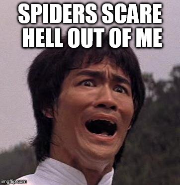 SPIDERS SCARE HELL OUT OF ME | made w/ Imgflip meme maker