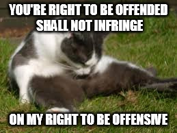 YOU'RE RIGHT TO BE OFFENDED SHALL NOT INFRINGE; ON MY RIGHT TO BE OFFENSIVE | image tagged in sexy cat | made w/ Imgflip meme maker