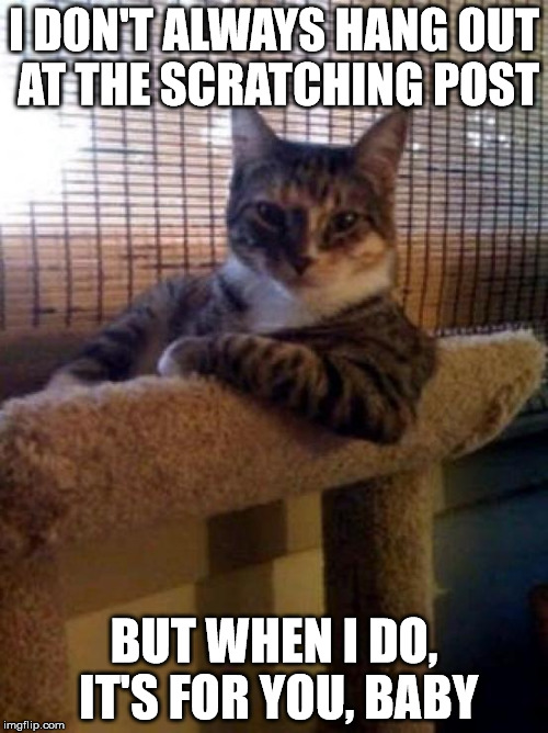 It's For You, Baby | I DON'T ALWAYS HANG OUT AT THE SCRATCHING POST; BUT WHEN I DO, IT'S FOR YOU, BABY | image tagged in memes,the most interesting cat in the world,it's for you baby,funny memes,cats,pick up lines | made w/ Imgflip meme maker