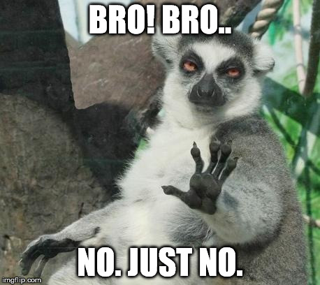 Bro! | BRO! BRO.. NO. JUST NO. | image tagged in memes,stoner lemur,bro,no,just say no,funny memes | made w/ Imgflip meme maker