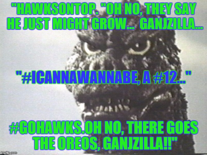 Godzilla This Is Why I Destroy Cities | "HAWKSONTOP.
"OH NO, THEY SAY HE JUST MIGHT GROW...

GANJZILLA... "#ICANNAWANNABE, A #12..."; #GOHAWKS.OH NO, THERE GOES THE OREOS, GANJZILLA!!" | image tagged in ganjzilla,icannawannabe,12,seattleseahawks,hawks,godzilla gohawks | made w/ Imgflip meme maker