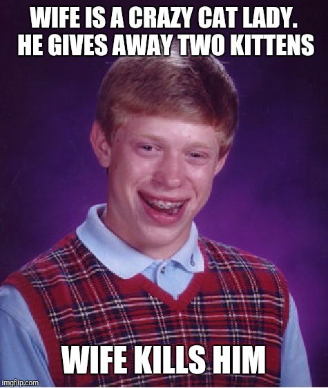 Bad Luck Brian Meme | WIFE IS A CRAZY CAT LADY. HE GIVES AWAY TWO KITTENS WIFE KILLS HIM | image tagged in memes,bad luck brian | made w/ Imgflip meme maker
