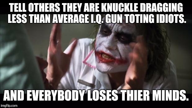 And everybody loses their minds | TELL OTHERS THEY ARE KNUCKLE DRAGGING LESS THAN AVERAGE I.Q. GUN TOTING IDIOTS. AND EVERYBODY LOSES THIER MINDS. | image tagged in memes,and everybody loses their minds | made w/ Imgflip meme maker