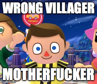 Villager | WRONG VILLAGER MOTHERF**KER | image tagged in villager | made w/ Imgflip meme maker