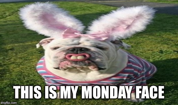 THIS IS MY MONDAY FACE | made w/ Imgflip meme maker