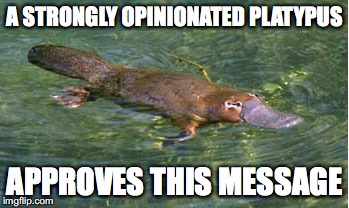 Platypus by Strongly Opinionated Platypus | A STRONGLY OPINIONATED PLATYPUS APPROVES THIS MESSAGE | image tagged in platypus by strongly opinionated platypus | made w/ Imgflip meme maker