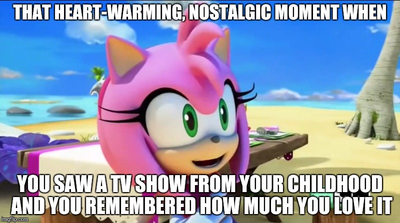 My Nostalgia Face | THAT HEART-WARMING, NOSTALGIC MOMENT WHEN; YOU SAW A TV SHOW FROM YOUR CHILDHOOD AND YOU REMEMBERED HOW MUCH YOU LOVE IT | image tagged in sonic boom,amy rose | made w/ Imgflip meme maker