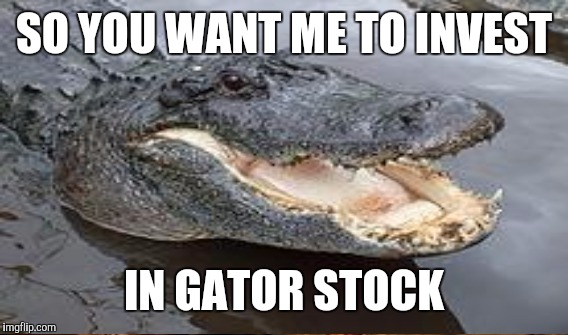 SO YOU WANT ME TO INVEST IN GATOR STOCK | made w/ Imgflip meme maker