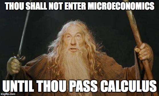 Microeconomics at Baruch | THOU SHALL NOT ENTER MICROECONOMICS; UNTIL THOU PASS CALCULUS | image tagged in memes | made w/ Imgflip meme maker