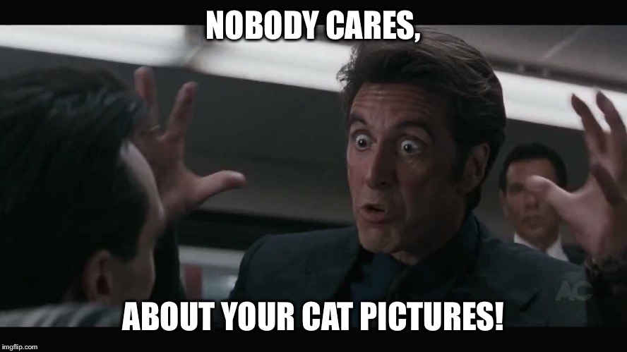 Cat Pictures | NOBODY CARES, ABOUT YOUR CAT PICTURES! | image tagged in cats,al pacino,angry,memes | made w/ Imgflip meme maker