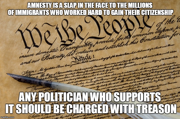 Constitution | AMNESTY IS A SLAP IN THE FACE TO THE MILLIONS OF IMMIGRANTS WHO WORKED HARD TO GAIN THEIR CITIZENSHIP; ANY POLITICIAN WHO SUPPORTS IT SHOULD BE CHARGED WITH TREASON | image tagged in constitution | made w/ Imgflip meme maker