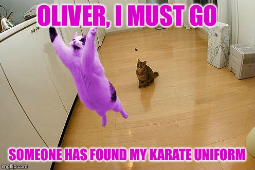 RayCat save the world | OLIVER, I MUST GO SOMEONE HAS FOUND MY KARATE UNIFORM | image tagged in raycat save the world | made w/ Imgflip meme maker