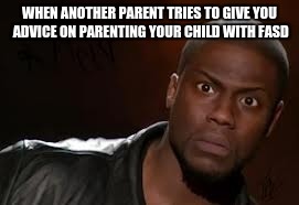 Kevin Hart Meme | WHEN ANOTHER PARENT TRIES TO GIVE YOU ADVICE ON PARENTING YOUR CHILD WITH FASD | image tagged in memes,kevin hart the hell | made w/ Imgflip meme maker