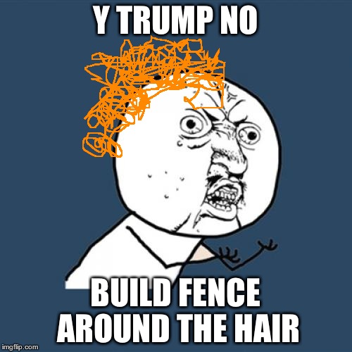 Y U No Meme | Y TRUMP NO BUILD FENCE AROUND THE HAIR | image tagged in memes,y u no | made w/ Imgflip meme maker