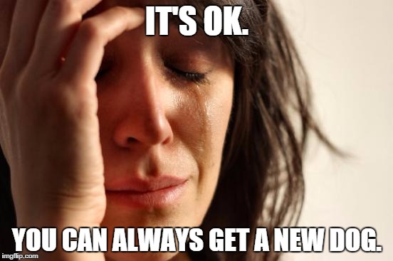First World Problems Meme | IT'S OK. YOU CAN ALWAYS GET A NEW DOG. | image tagged in memes,first world problems | made w/ Imgflip meme maker