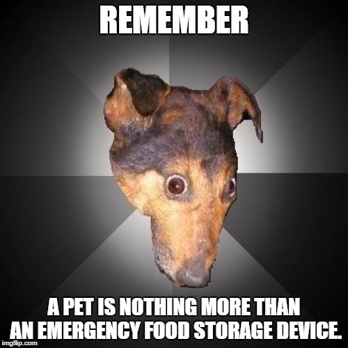 Depression Dog Meme | REMEMBER; A PET IS NOTHING MORE THAN AN EMERGENCY FOOD STORAGE DEVICE. | image tagged in memes,depression dog | made w/ Imgflip meme maker