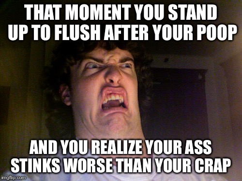 Oh No Meme | THAT MOMENT YOU STAND UP TO FLUSH AFTER YOUR POOP; AND YOU REALIZE YOUR ASS STINKS WORSE THAN YOUR CRAP | image tagged in memes,oh no | made w/ Imgflip meme maker