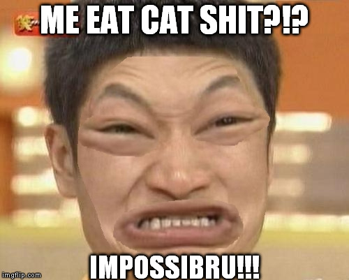 ME EAT CAT SHIT?!? IMPOSSIBRU!!! | image tagged in impossibru-guy-original times 2 | made w/ Imgflip meme maker