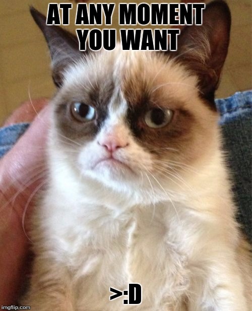 Grumpy Cat Meme | AT ANY MOMENT YOU WANT >:D | image tagged in memes,grumpy cat | made w/ Imgflip meme maker