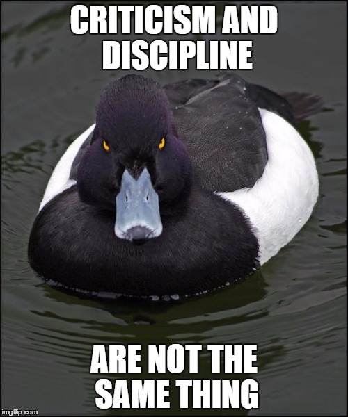 hi res angry advice mallard | CRITICISM AND DISCIPLINE; ARE NOT THE SAME THING | image tagged in hi res angry advice mallard,AdviceAnimals | made w/ Imgflip meme maker