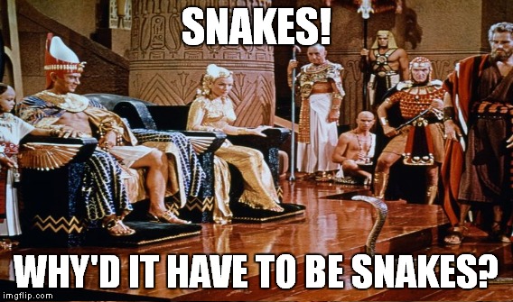 My snake is bigger than yours... | SNAKES! WHY'D IT HAVE TO BE SNAKES? | image tagged in meme,pharoah,snake,indiana jones | made w/ Imgflip meme maker