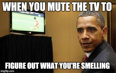 WHEN YOU MUTE THE TV TO; FIGURE OUT WHAT YOU'RE SMELLING | image tagged in obama tv | made w/ Imgflip meme maker