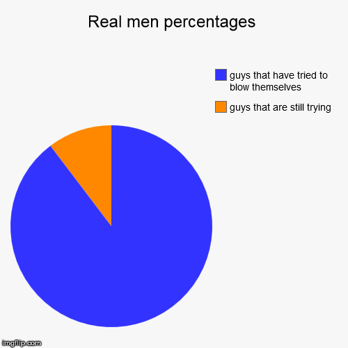 true story | image tagged in funny,pie charts,funny memes | made w/ Imgflip chart maker