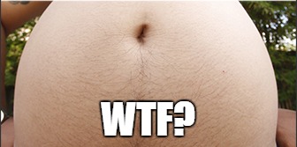 WTF? | WTF? | image tagged in wtf,do you know what this is,hairy arse,belly button | made w/ Imgflip meme maker
