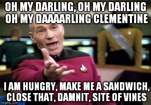 Let's sing a song | OH MY DARLING, OH MY DARLING OH MY DAAAARLING CLEMENTINE; I AM HUNGRY, MAKE ME A SANDWICH, CLOSE THAT, DAMNIT, SITE OF VINES | image tagged in memes,picard wtf | made w/ Imgflip meme maker