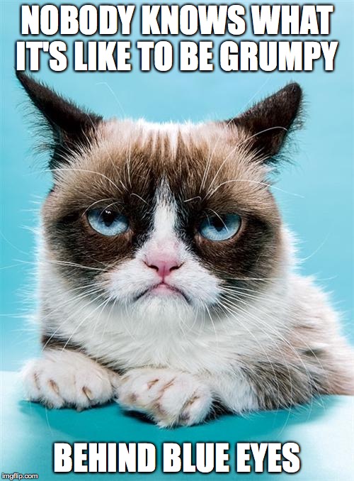 Grumpy Cat | NOBODY KNOWS WHAT IT'S LIKE TO BE GRUMPY; BEHIND BLUE EYES | image tagged in grumpy cat | made w/ Imgflip meme maker