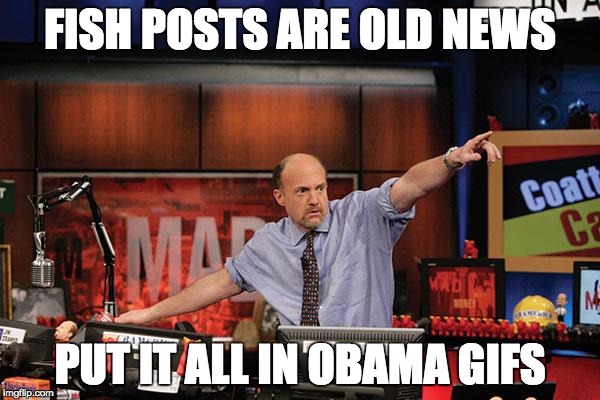 Mad Money Jim Cramer | FISH POSTS ARE OLD NEWS; PUT IT ALL IN OBAMA GIFS | image tagged in memes,mad money jim cramer | made w/ Imgflip meme maker