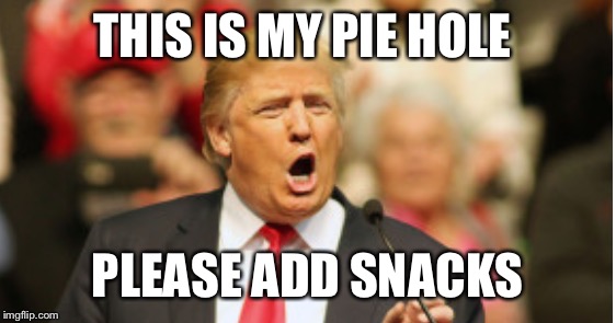 Pie hole  | THIS IS MY PIE HOLE; PLEASE ADD SNACKS | image tagged in pie hole | made w/ Imgflip meme maker