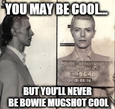 Ziggy played it cool... | YOU MAY BE COOL... BUT YOU'LL NEVER BE BOWIE MUGSHOT COOL | image tagged in memes,cool,bowie,david bowie,music | made w/ Imgflip meme maker