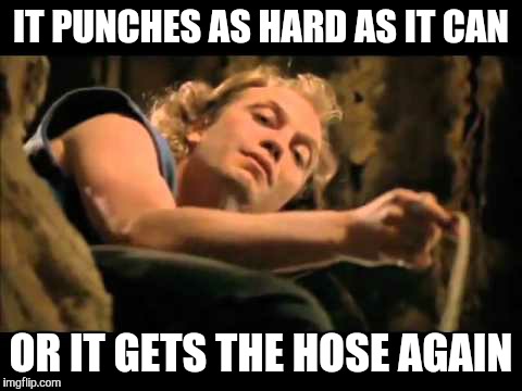 Buffalo Bill Boss | IT PUNCHES AS HARD AS IT CAN; OR IT GETS THE HOSE AGAIN | image tagged in buffalo bill boss | made w/ Imgflip meme maker
