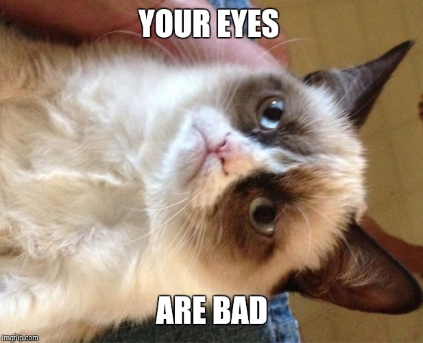 Grumpy Cat Meme | YOUR EYES ARE BAD | image tagged in memes,grumpy cat | made w/ Imgflip meme maker