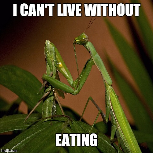 I CAN'T LIVE WITHOUT EATING | made w/ Imgflip meme maker