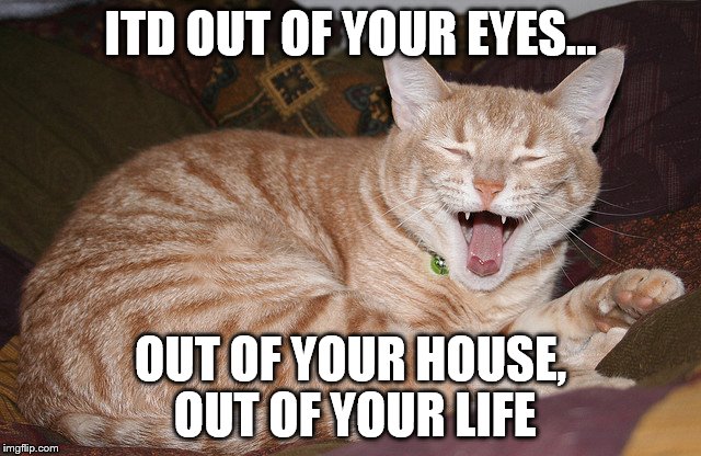 ITD OUT OF YOUR EYES... OUT OF YOUR HOUSE, OUT OF YOUR LIFE | made w/ Imgflip meme maker