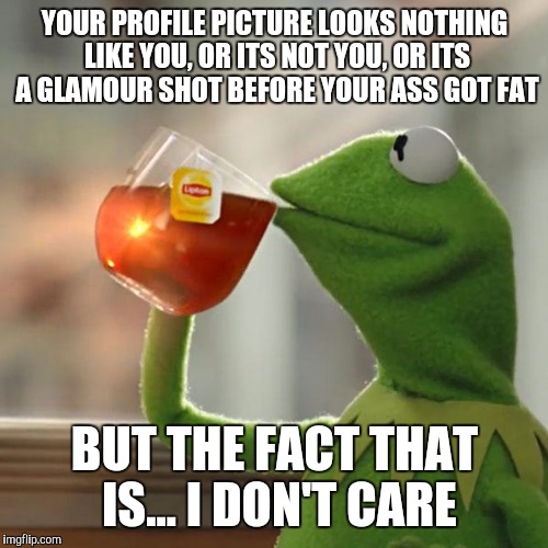 But That's None Of My Business Meme | YOUR PROFILE PICTURE LOOKS NOTHING LIKE YOU, OR ITS NOT YOU, OR ITS A GLAMOUR SHOT BEFORE YOUR ASS GOT FAT BUT THE FACT THAT IS... I DON'T C | image tagged in memes,but thats none of my business,kermit the frog | made w/ Imgflip meme maker