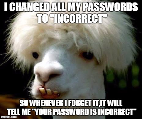 Dumbass | I CHANGED ALL MY PASSWORDS TO "INCORRECT"; SO WHENEVER I FORGET IT,IT WILL TELL ME "YOUR PASSWORD IS INCORRECT" | image tagged in dumbass | made w/ Imgflip meme maker