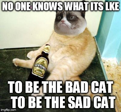 NO ONE KNOWS WHAT ITS LKE TO BE THE BAD CAT 
TO BE THE SAD CAT | made w/ Imgflip meme maker