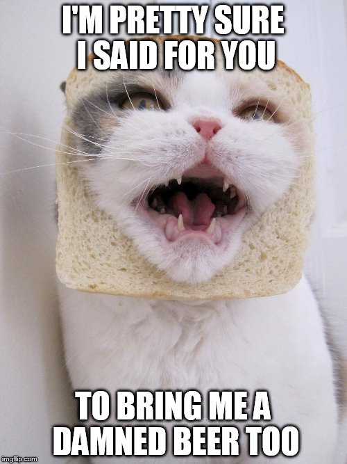 I'M PRETTY SURE I SAID FOR YOU TO BRING ME A DAMNED BEER TOO | made w/ Imgflip meme maker