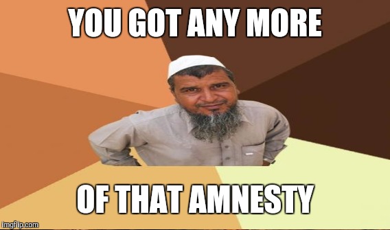 YOU GOT ANY MORE OF THAT AMNESTY | made w/ Imgflip meme maker