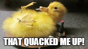 Quacked Duckling | THAT QUACKED ME UP! | image tagged in memes,ducks | made w/ Imgflip meme maker