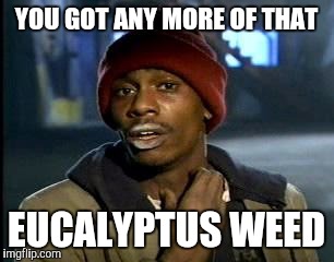 Y'all Got Any More Of That Meme | YOU GOT ANY MORE OF THAT EUCALYPTUS WEED | image tagged in memes,yall got any more of | made w/ Imgflip meme maker