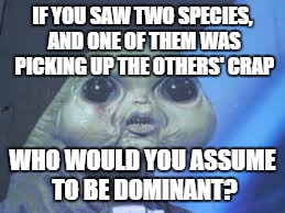 IF YOU SAW TWO SPECIES, AND ONE OF THEM WAS PICKING UP THE OTHERS' CRAP WHO WOULD YOU ASSUME TO BE DOMINANT? | made w/ Imgflip meme maker